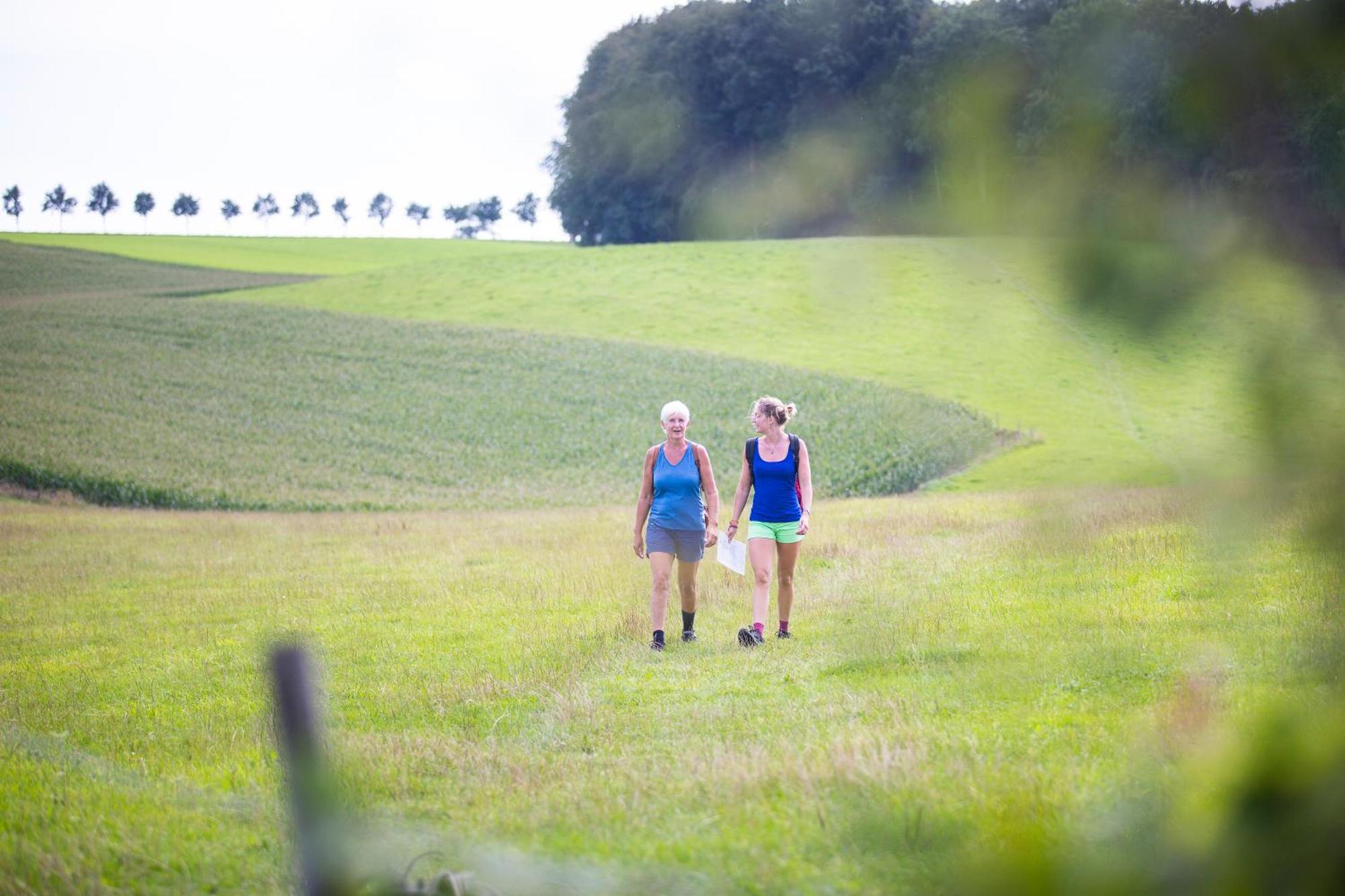 B&B Brakke Berg แบร์ก เอน เติร์บเลจท์ ภายนอก รูปภาพ